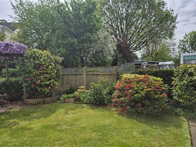Picture 22